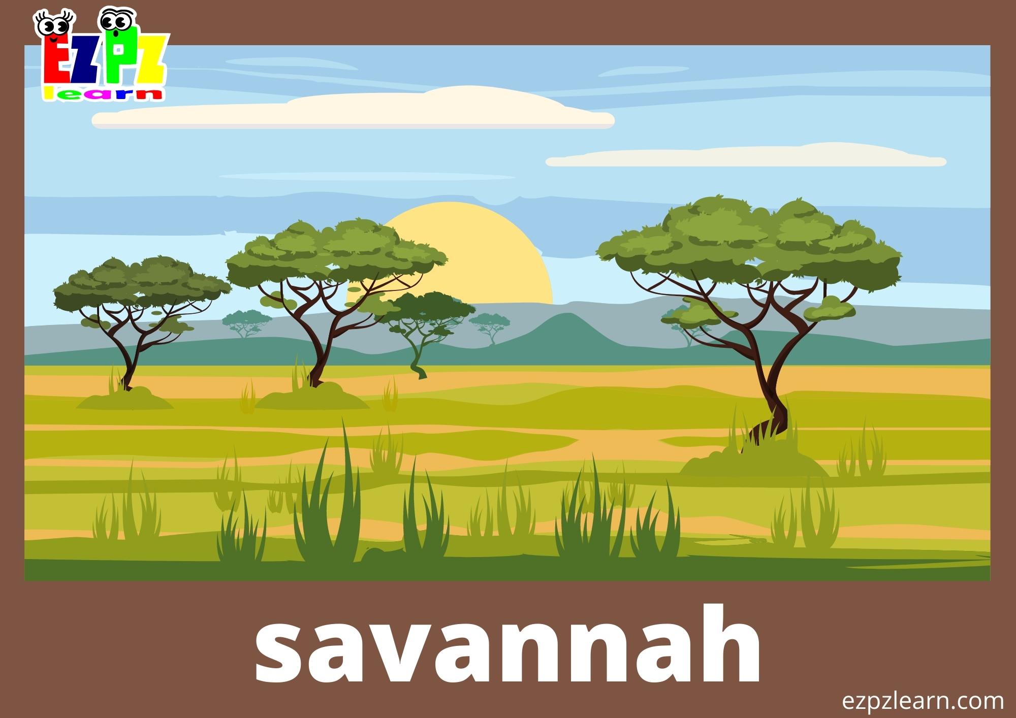 savannah